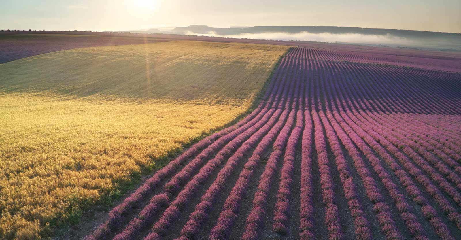 زیبایی بی انتها